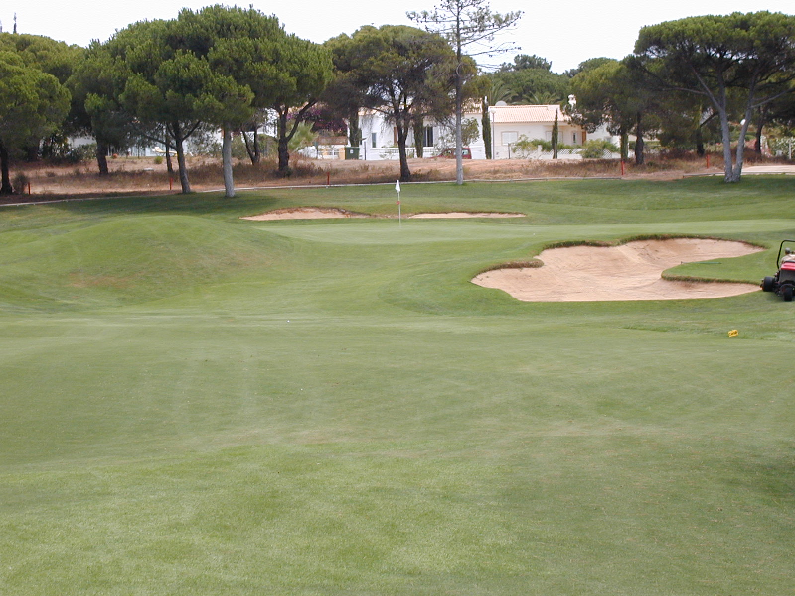 Lets Do Golf ! Ok!