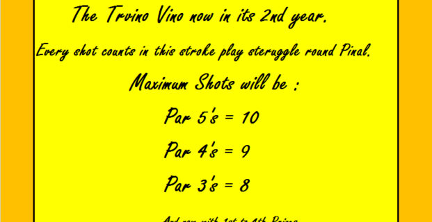 The 2015 Trevino Vino Medal Challenge Cup