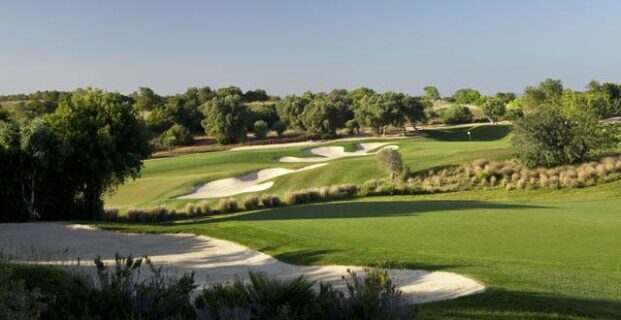 Faldo 5