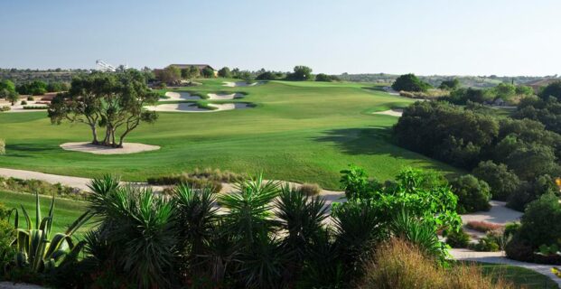 Faldo 6