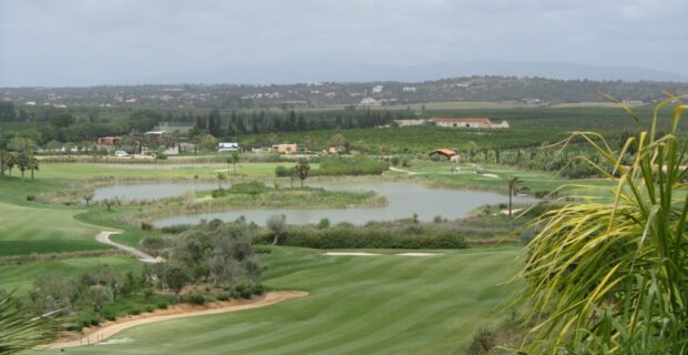 Faldo