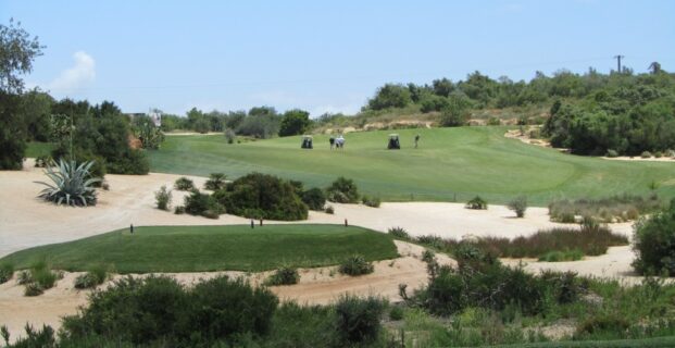 1st Faldo
