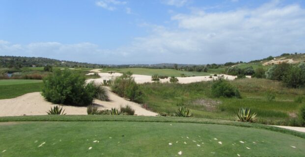 5th Faldo