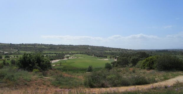 10th Faldo