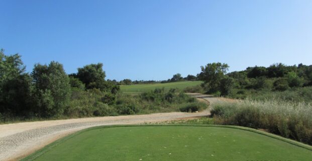 14th Faldo
