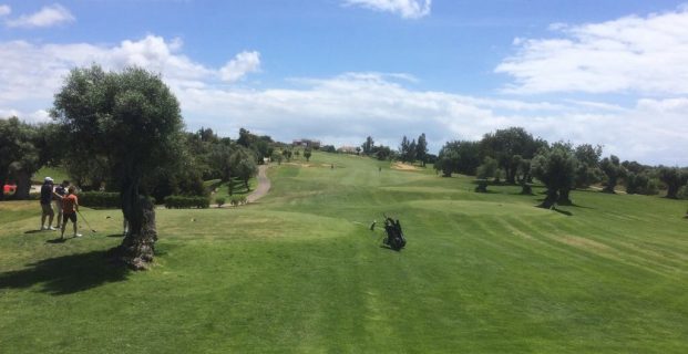 2019 The Season – Tuesday Golf.