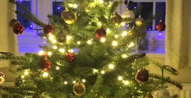 A Merry Christmas To All Our Reader !
