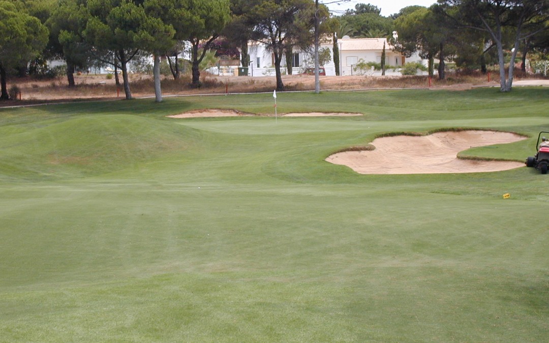 Lets Do Golf !  Ok!
