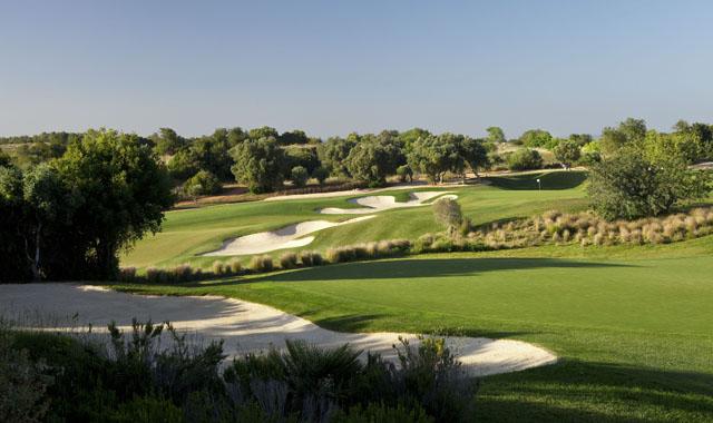 Faldo 5