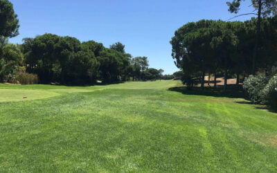 PORTUGAL 2026 – Tee Time Tussle Resolved !!