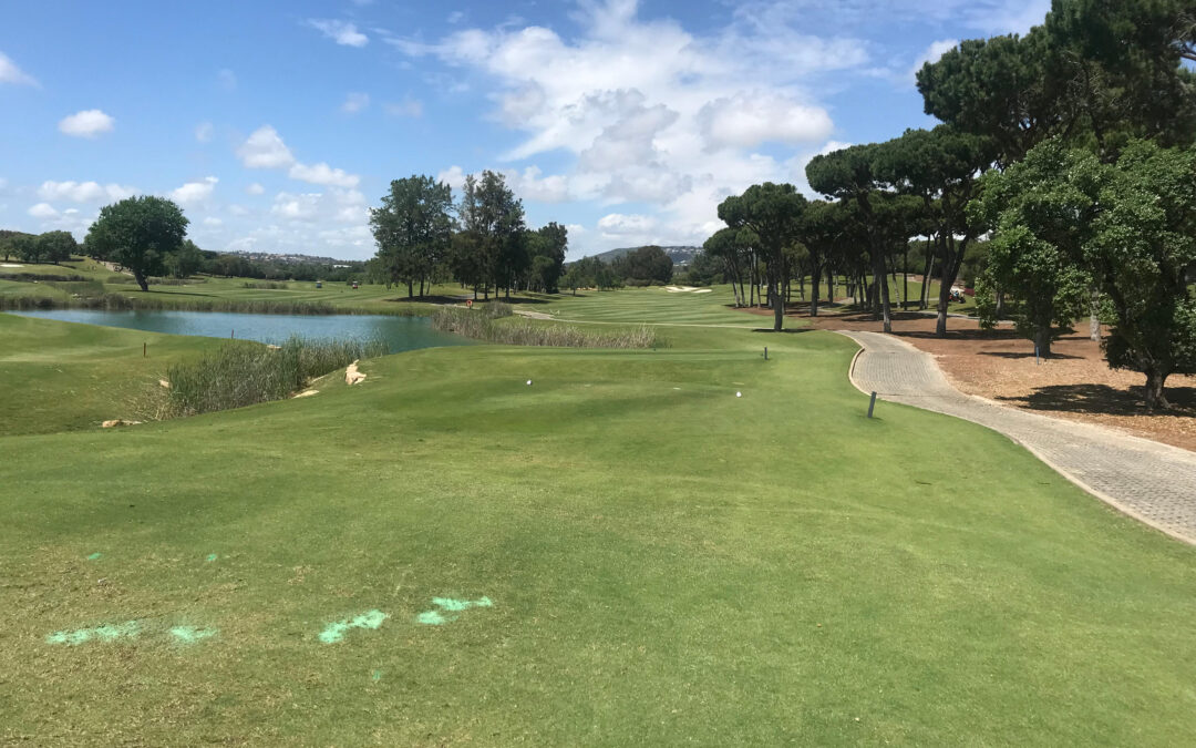 The Road To Vilamoura – 2023 – Aldo On Top With 6 Weeks to Go !!